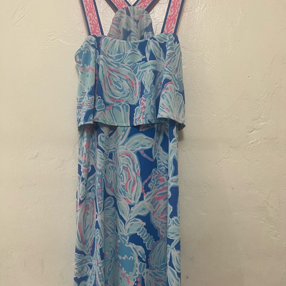 Lilly Pulitzer Blue and Pink Floral Dress - Picture 3 of 4